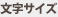 文字サイズ